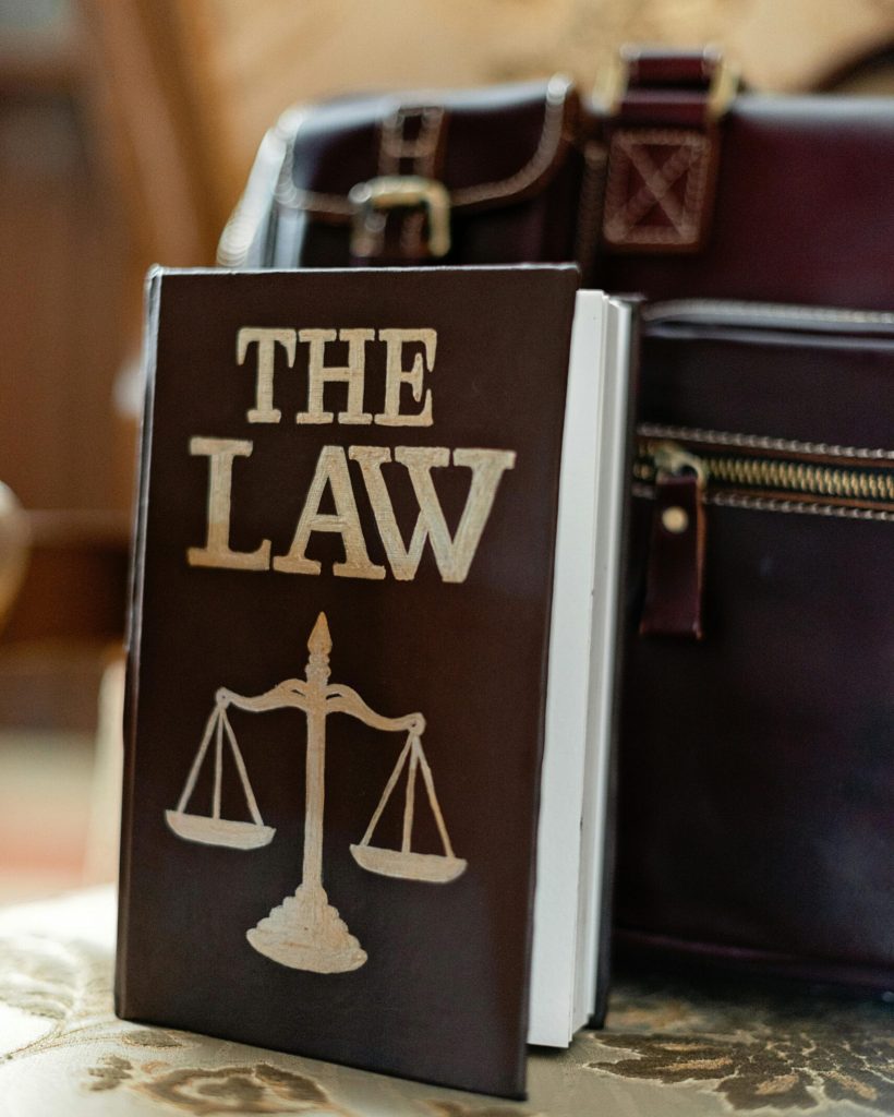 pexels-mikhail-nilov-8731031